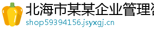 北海市某某企业管理咨询业务部